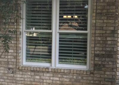 Window